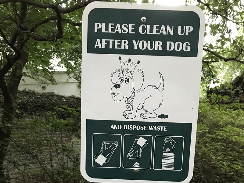 Clean up after your dog