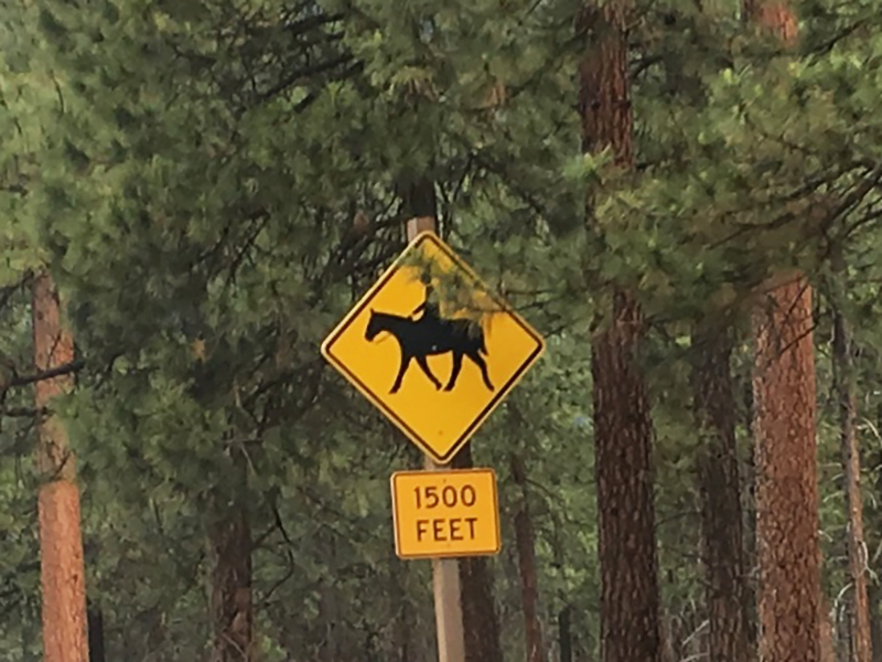 Horse Crossing