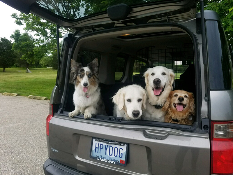 Pup Mobile