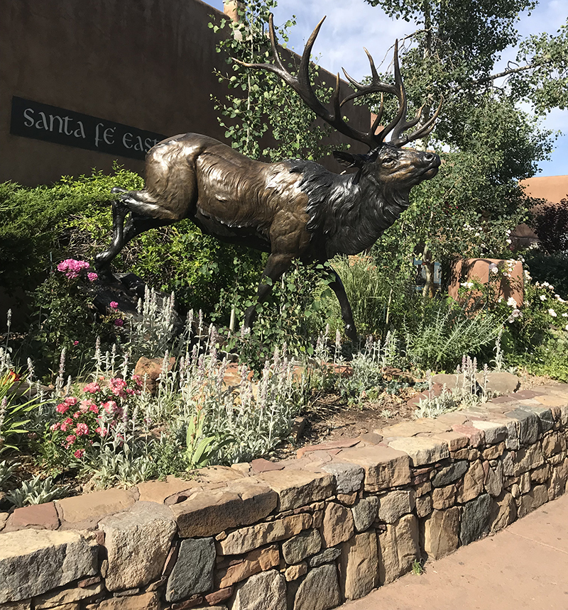 Santa Fe Moose